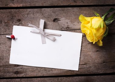 Sarı Gül ve boş etiket