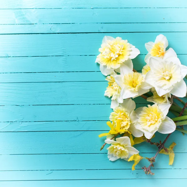 Frische Frühlingsblumen — Stockfoto