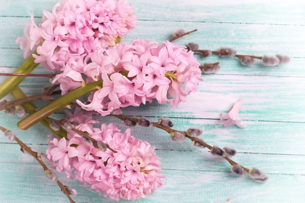 Flores de jacintos frescos e salgueiro — Fotografia de Stock