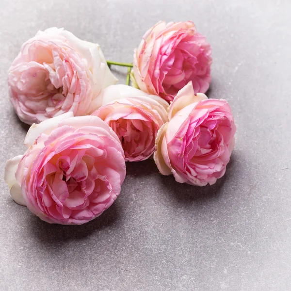 Postcard with pink flowers — Stock Photo, Image