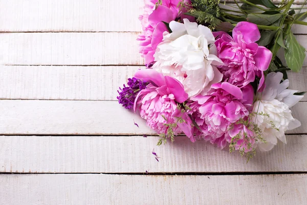 Roze en witte pioenrozen bloemen — Stockfoto