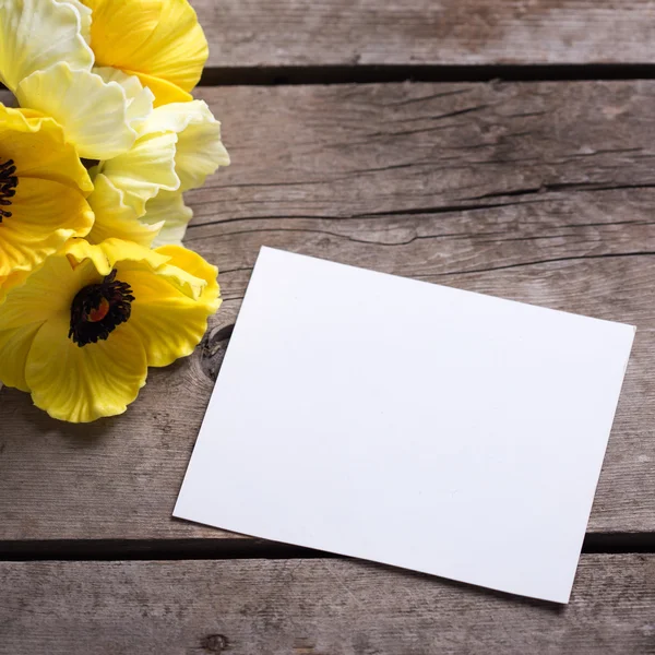 Flores y etiqueta vacía —  Fotos de Stock