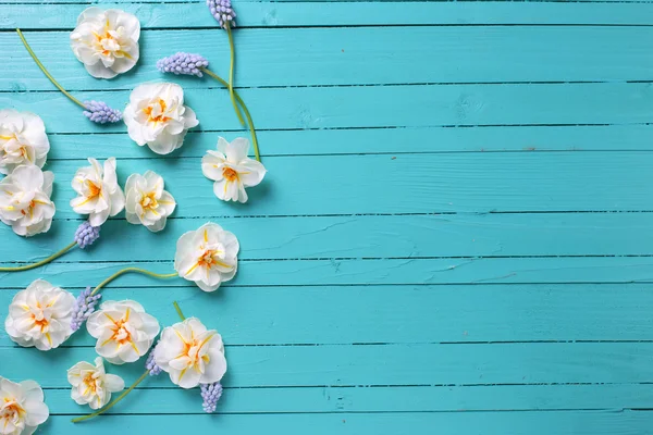 Bordure de fleurs blanches et bleues — Photo