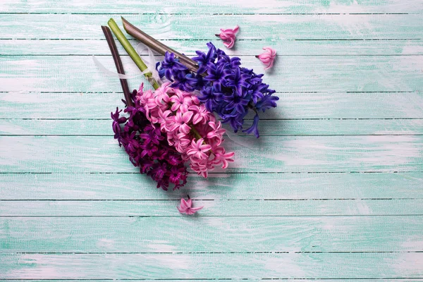 Φρέσκα λουλούδια hyacynths — Φωτογραφία Αρχείου