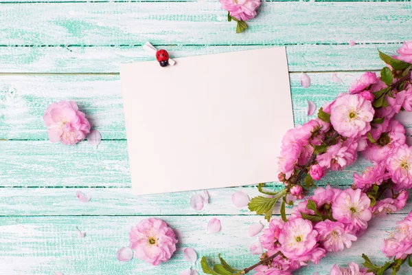 Ansichtkaart met roze bloemen — Stockfoto