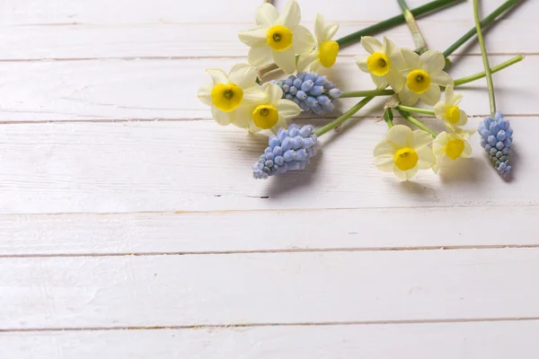 Postcard with fresh daffodils — Stock Photo, Image