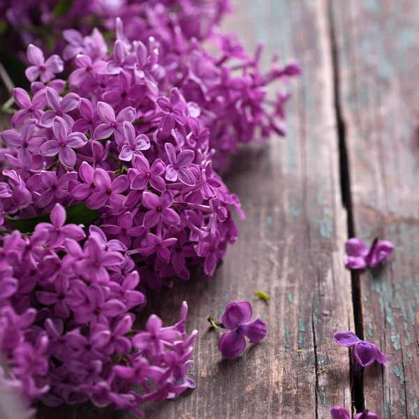 Flores de lila sobre madera —  Fotos de Stock
