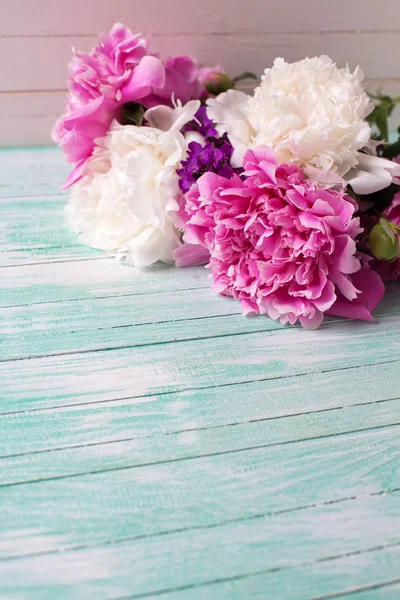 Beyaz ve pembe peonies çiçekler — Stok fotoğraf