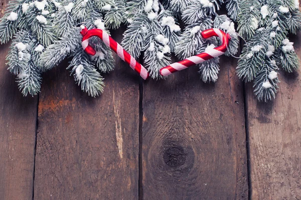 Spruce branches and candy canes — Stock Photo, Image
