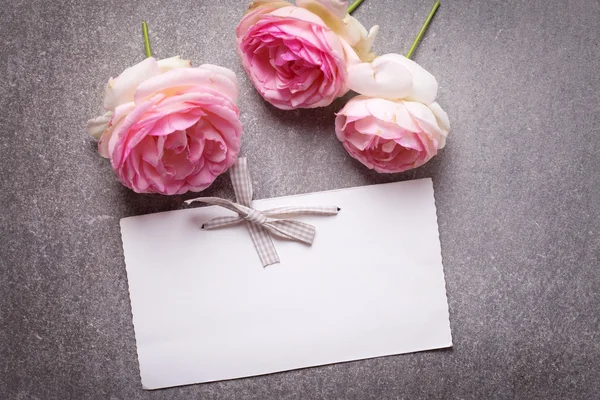 Rosas rosadas y etiqueta vacía —  Fotos de Stock