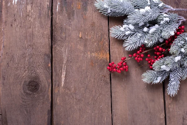 Spruce and decorative berries — Stock Photo, Image