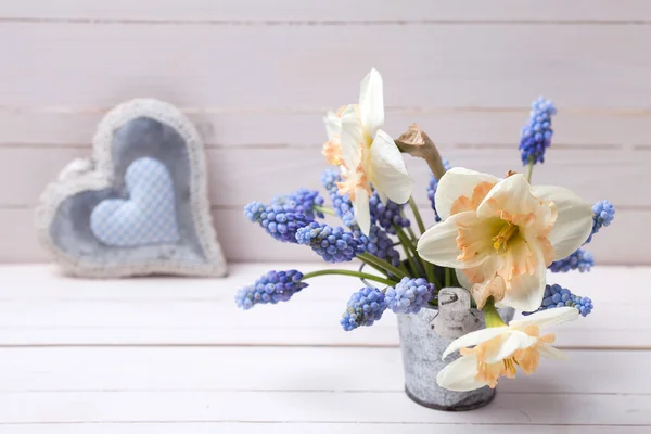 Muscarios y narcisos flores — Foto de Stock