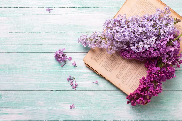 Fresh lilac flowers — Stock Photo, Image