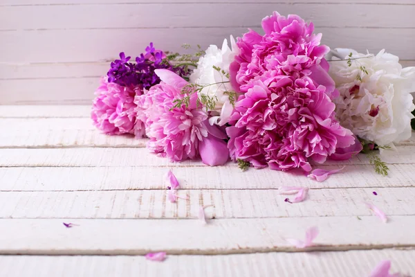 Flores de peónias frescas — Fotografia de Stock