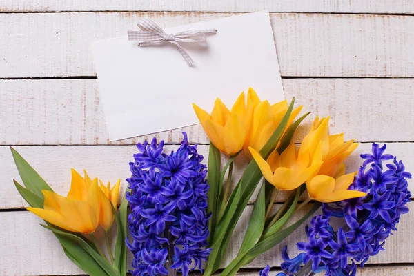 Tulipanes amarillos y jacintos azules — Foto de Stock