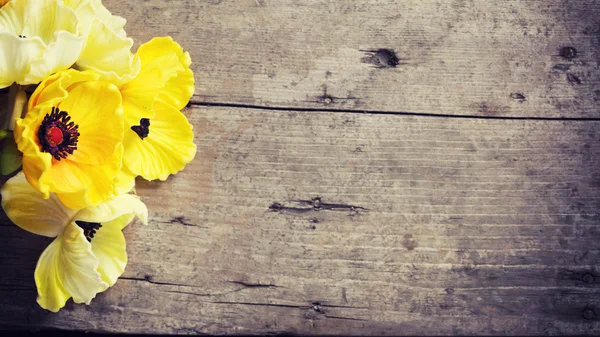 黄色い色の花 — ストック写真