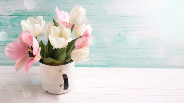 Tulip och narcisser blommor — Stockfoto