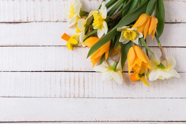 Narciso y Tulipanes flores —  Fotos de Stock