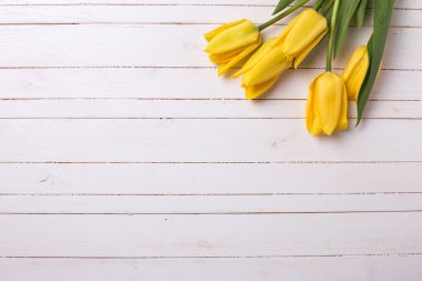 taze bahar Sarı laleler