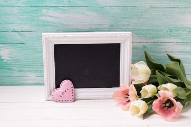 Beyaz ve Pembe Lale çiçek