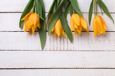 taze bahar Sarı laleler