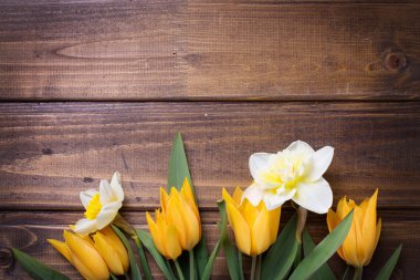 Sarı nergis ve lale çiçekleri