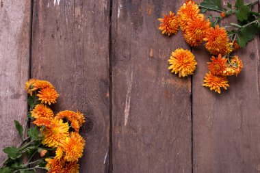 Sarı sonbahar çiçek