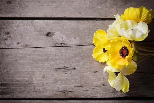 Blommor i gula färger — Stockfoto