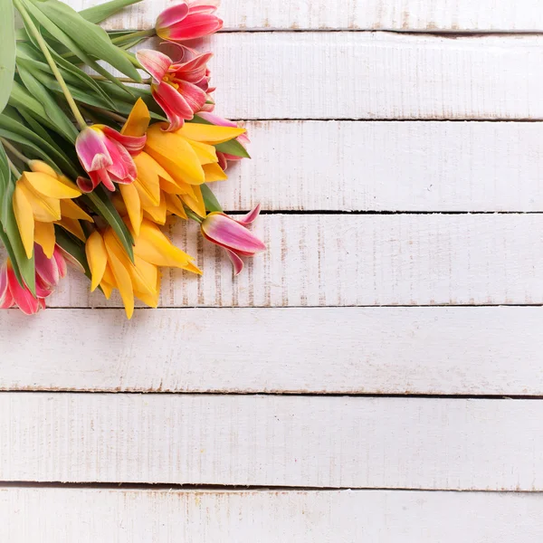 Весенние желтые и розовые тюльпаны — стоковое фото