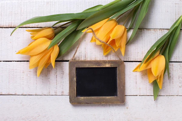 Yellow tulips flowers — Stock Photo, Image