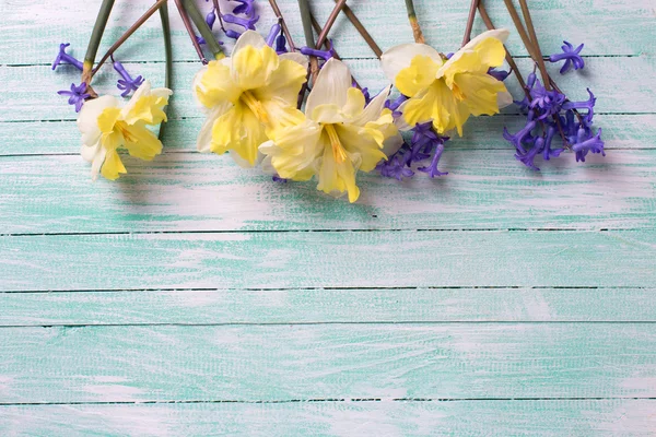 Frontera de flores de primavera — Foto de Stock