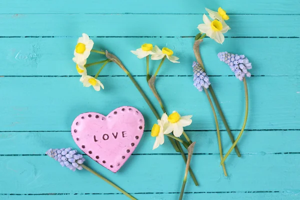 Narcisos e muscarias tenros — Fotografia de Stock