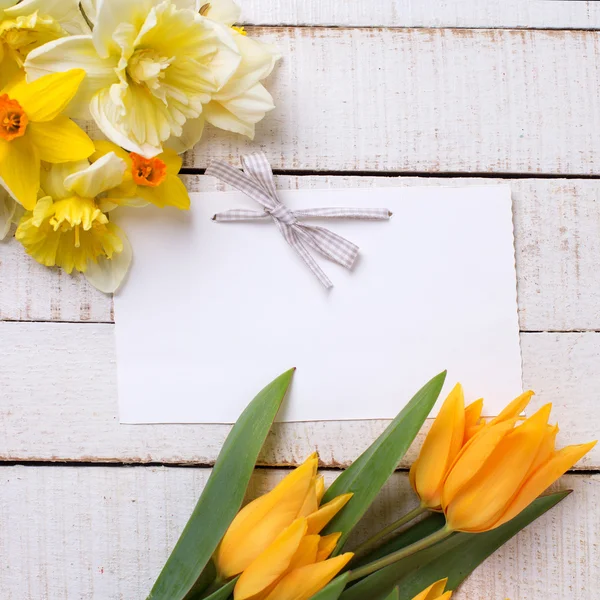 Narciso fresco e tulipas — Fotografia de Stock