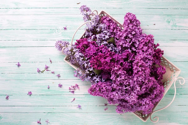 Flores de lila en bandeja — Foto de Stock