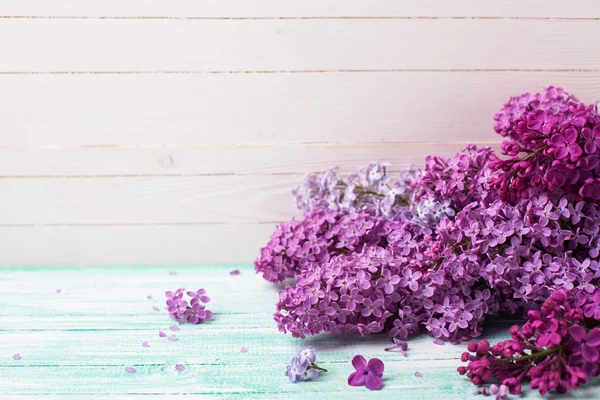 Bakgrund med lila blommor — Stockfoto