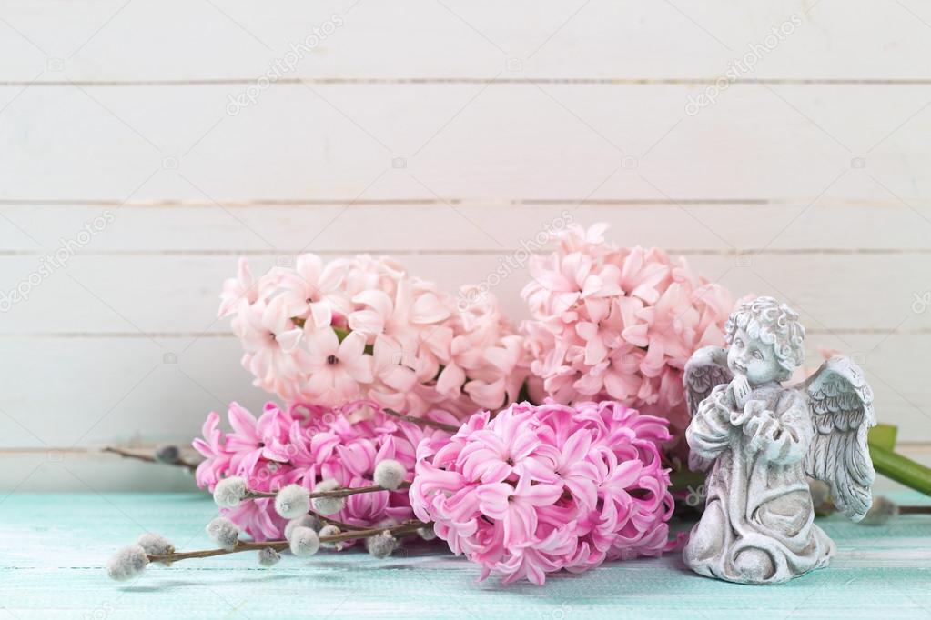 Fresh pink hyacinths  and  angel 