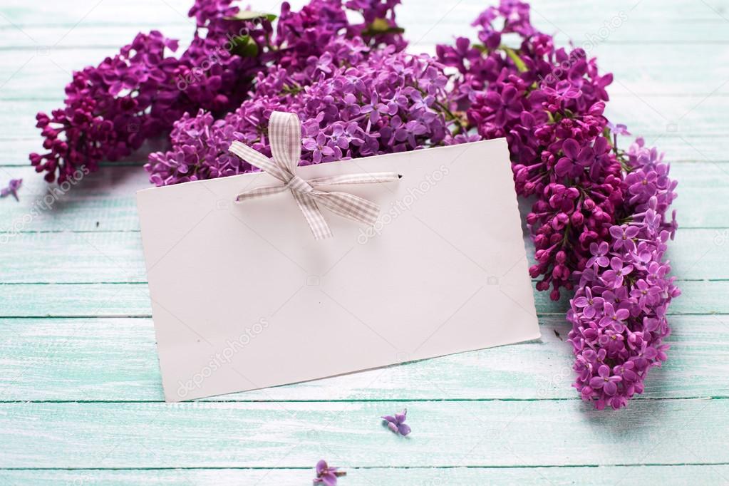 Background  with fresh lilac flowers