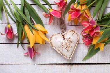 Fresh colorful red and yellow tulips