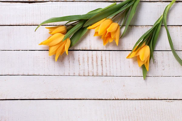 Tulipas amarelas flores — Fotografia de Stock