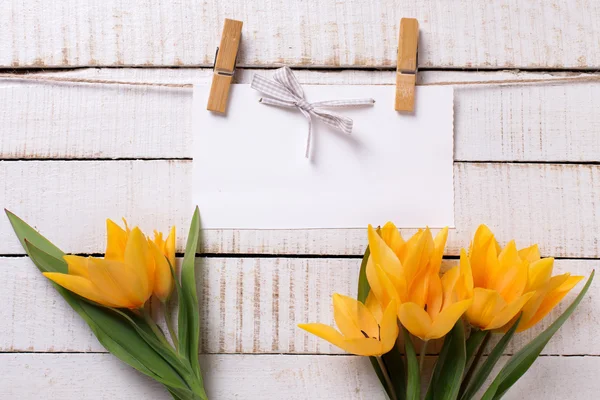 Tulips flowers  and empty tag — Stock Photo, Image