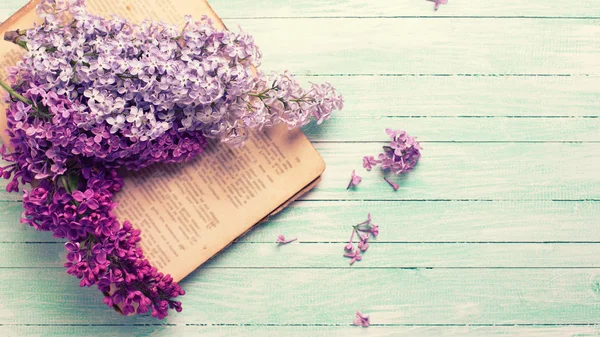 Background  with fresh lilac flowers — Stock Photo, Image