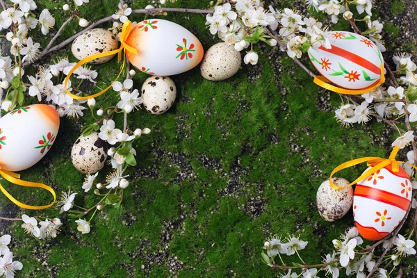 Huevos y ramas florecientes de primavera — Foto de Stock