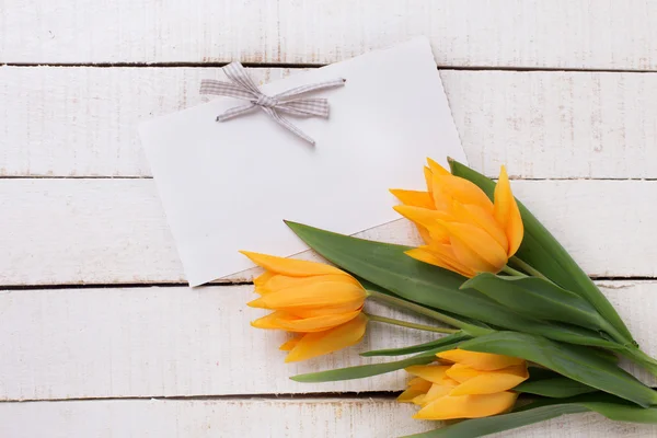 Fleurs fraîches de tulipes jaunes printanières — Photo