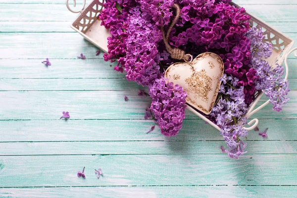 Flores lilás frescas e coração — Fotografia de Stock