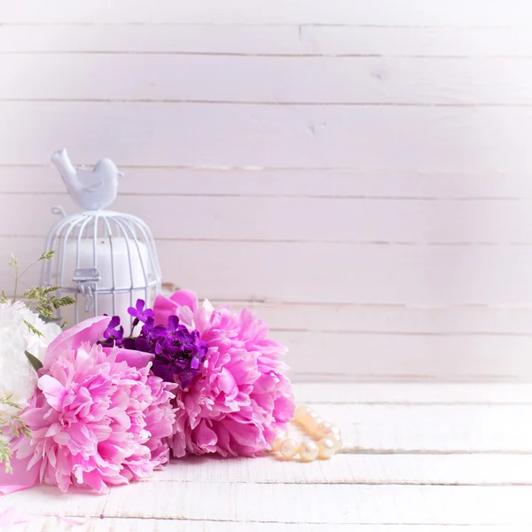 Flores de peônias brancas e rosa — Fotografia de Stock