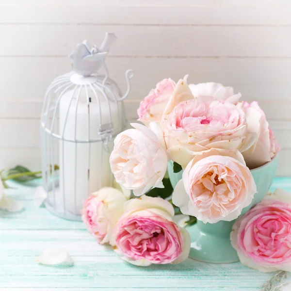 Achtergrond met zoete roze rozen — Stockfoto