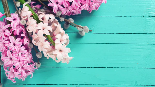 Fundo com jacintos rosa — Fotografia de Stock