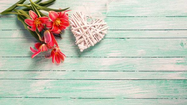Розовые тюльпаны цветы и декоративное сердце — стоковое фото