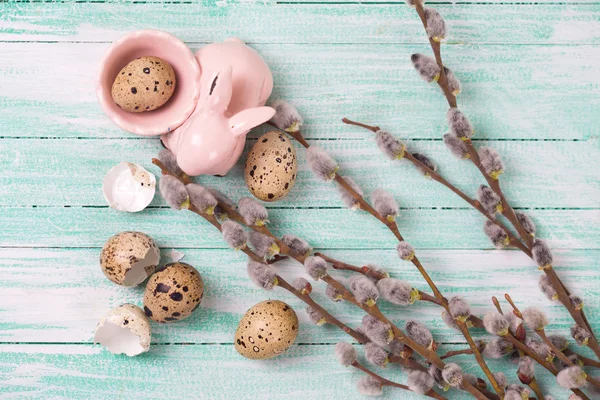 Quail eggs, bunny and willow  branches — Stok fotoğraf