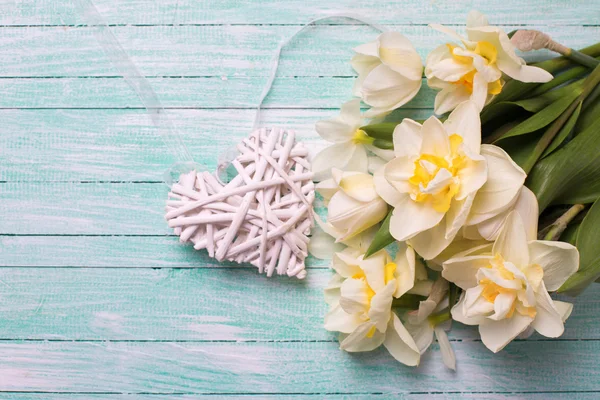 Bright white  and yellow daffodils flowers — Φωτογραφία Αρχείου